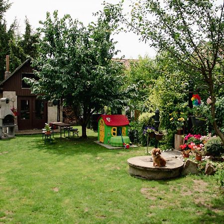 Podkrovni Apartman S Vyhledem Na Namesti Lomnice nad Lužnicí Dış mekan fotoğraf